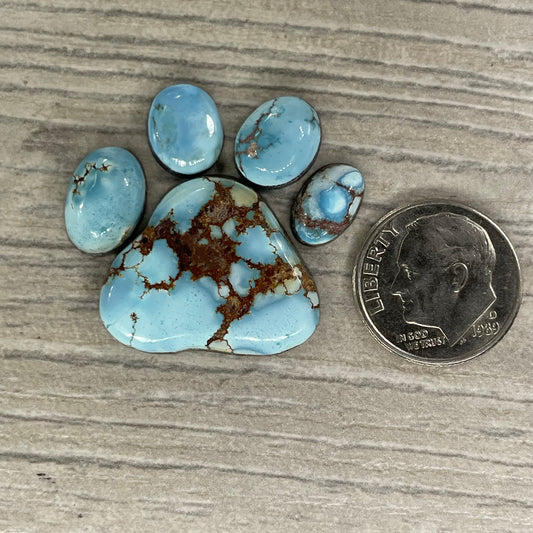 Golden Hill Paw