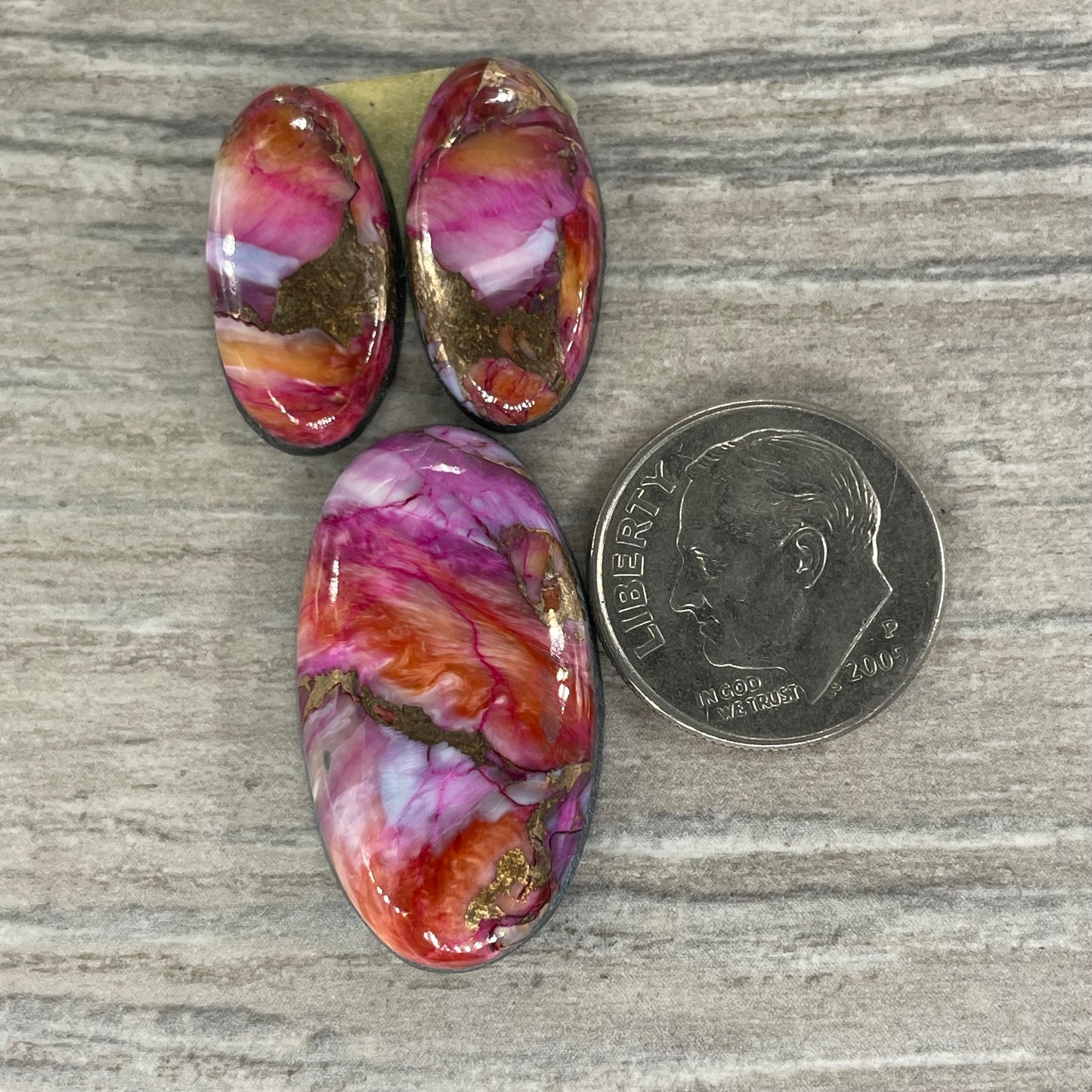 Starburst Spiny Oyster