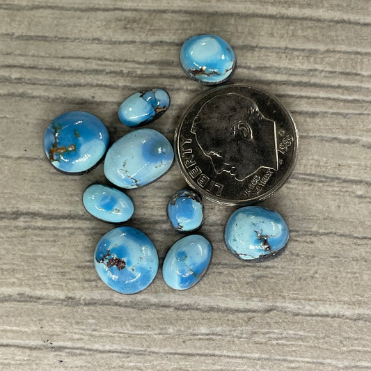 Golden Hill Minis