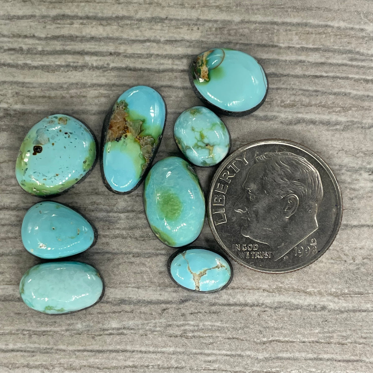 Sonoran Mountain Minis