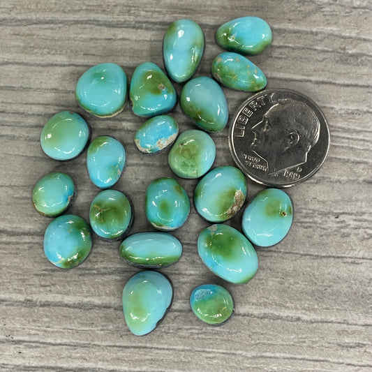 Sierra Bella Minis