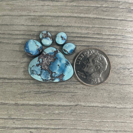Golden Hill Paw