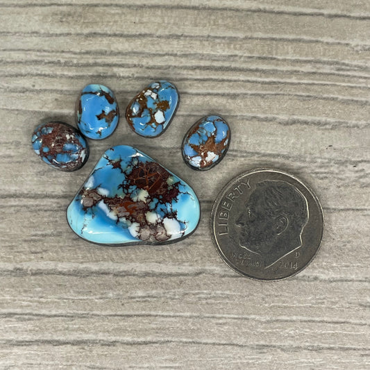 Golden Hill Paw