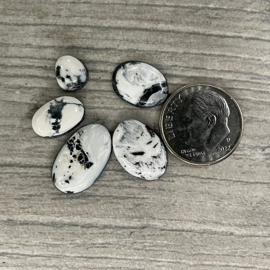 White Buffalo Minis
