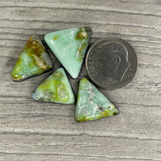 Palomino Triangles