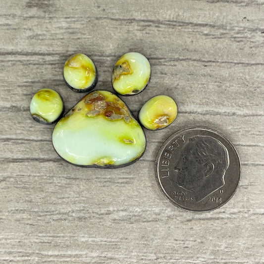 Palomino Paw Set