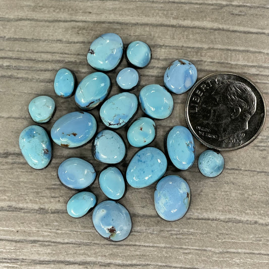 Golden Hill Minis