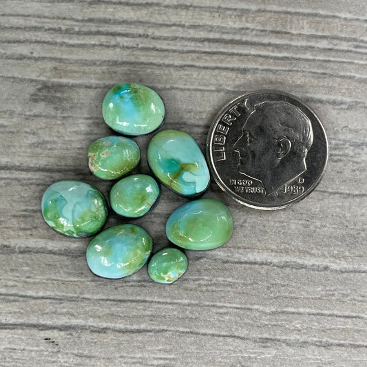 Sierra Bella Minis