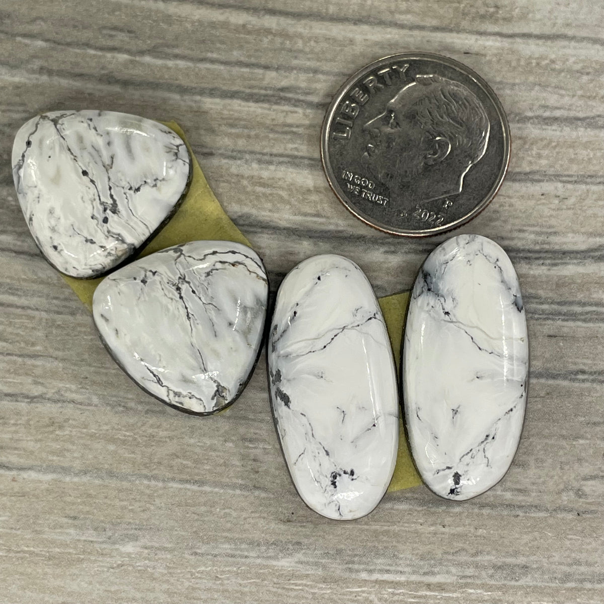 White Buffalo Earring Pairs