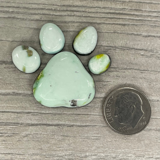 Palomino Paw Set