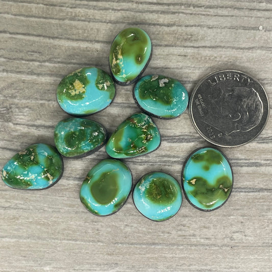Sonoran Mountain Minis
