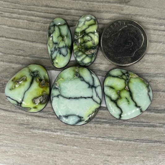 Palomino Set