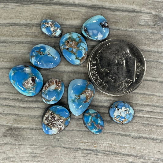Golden Hill Minis