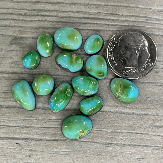 Sierra Bella Minis