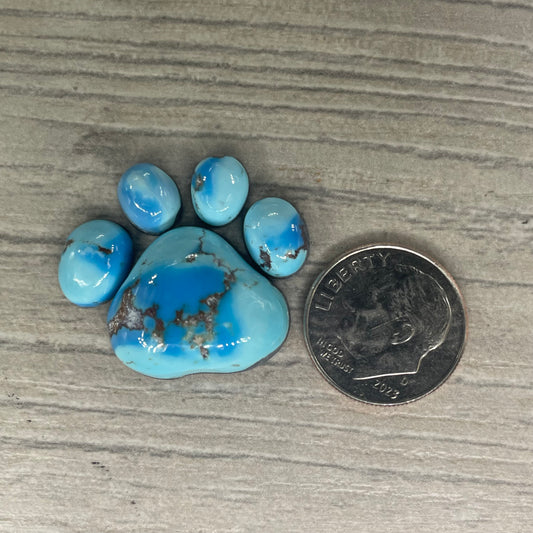 Golden Hill Paw
