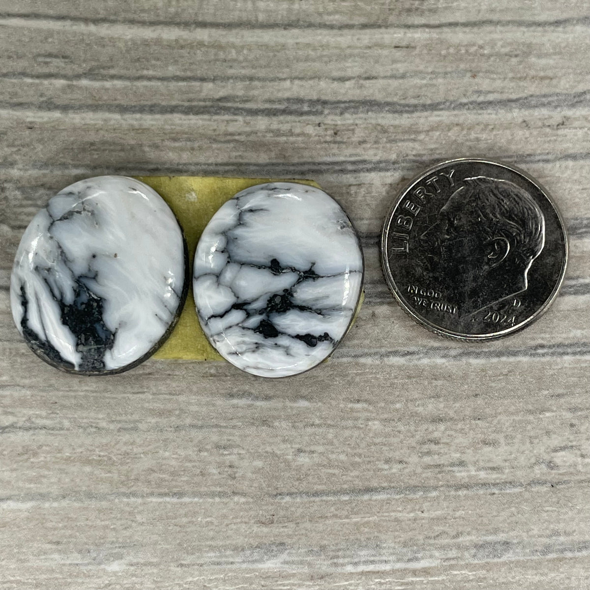 White Buffalo Earring Pairs