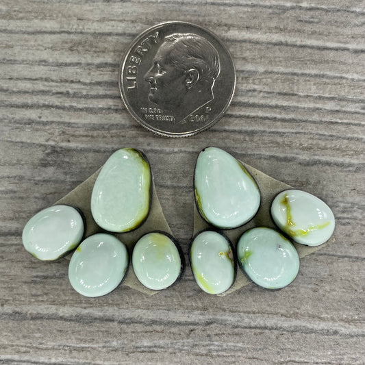Palomino Earring Set
