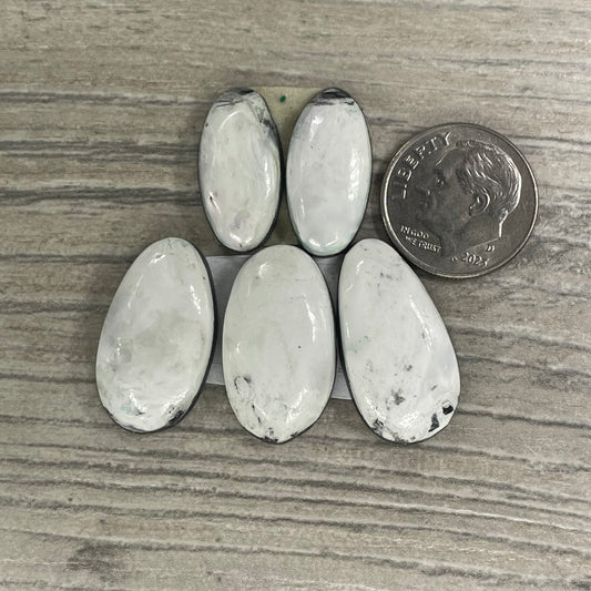 White Buffalo Set